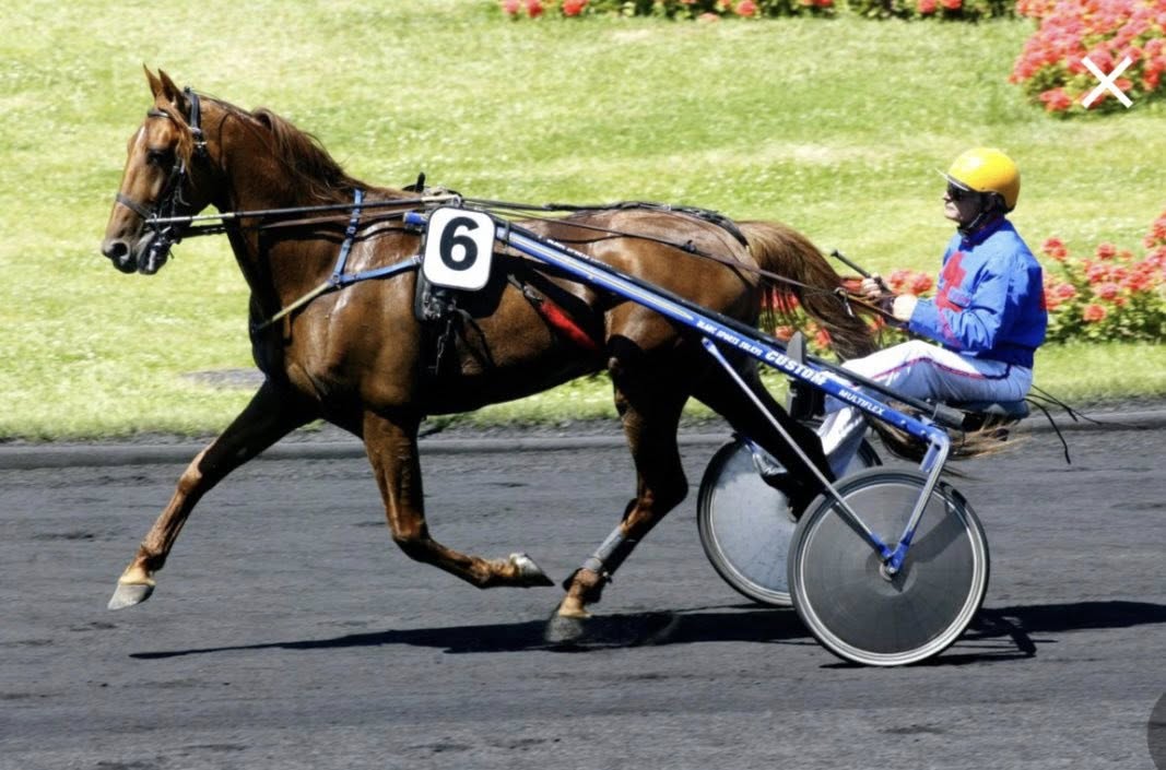 Emission CA PEUT VOUS ARRIVER du 16 décembre 2025 :