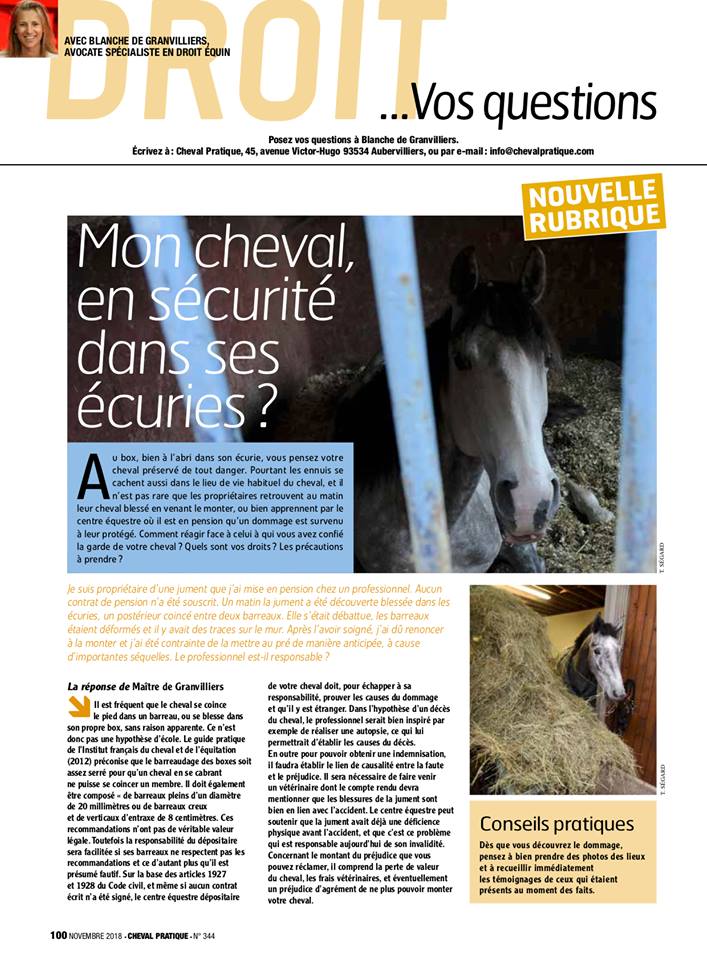 Mon cheval, en sécurité dans ses écuries ? par Blanche de Granvilliers - CHEVAL PRATIQUE - NOV 2018
