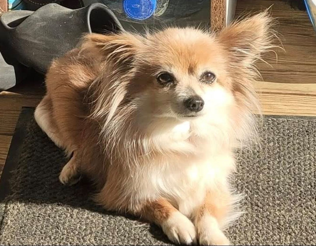 Emission CA PEUT VOUS ARRIVER du 16 septembre 2025 :