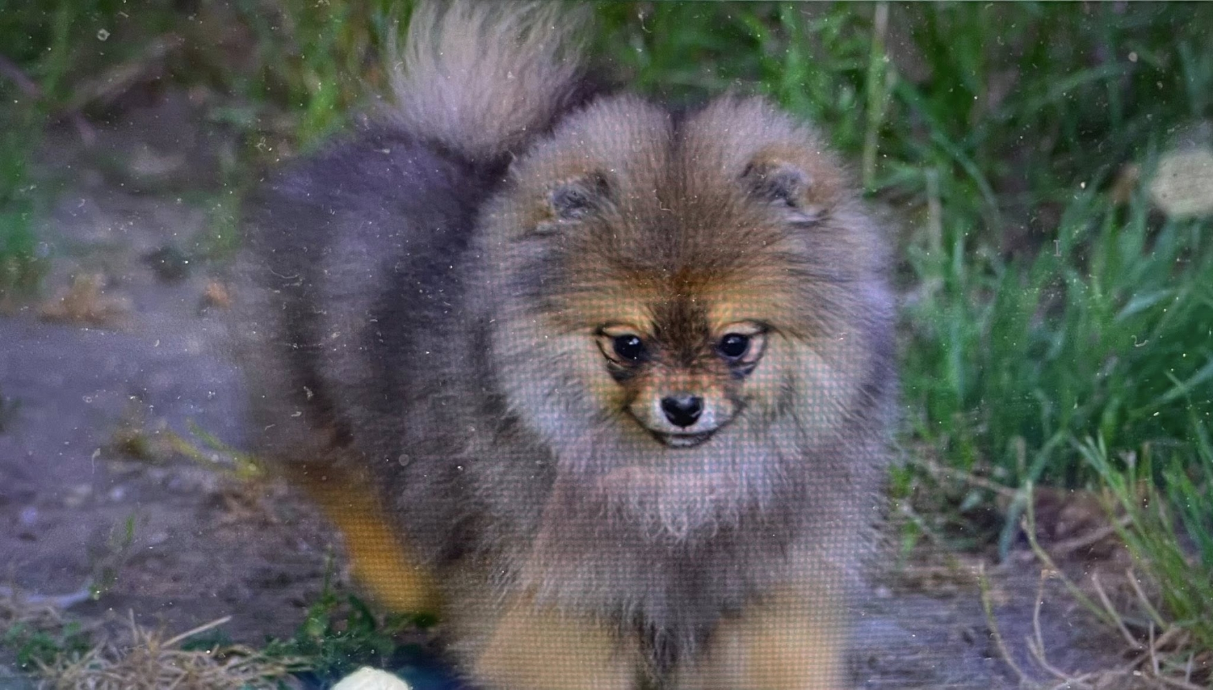 CA PEUT VOUS ARRIVER - Emission du 06/01/2026